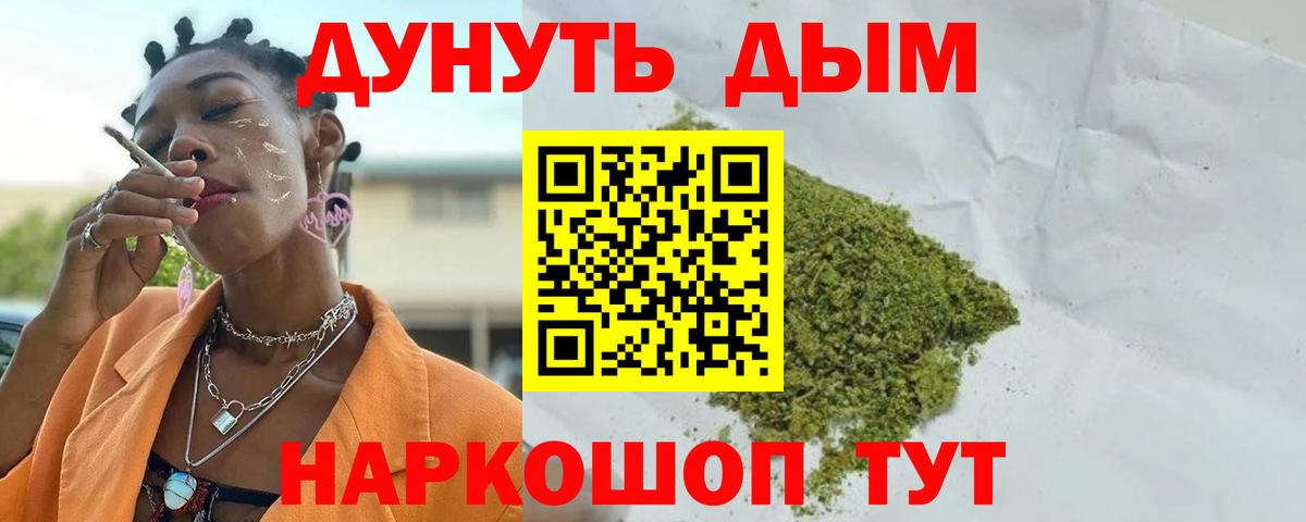 Конопля план Бердск